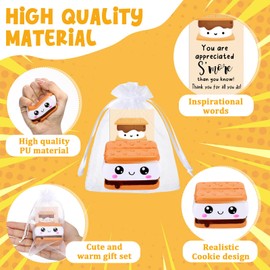 Gemscream Inspirational Stress Smore Balls for Employee Realistic Food Relief Toys with Thank You Cards with Organza Bags Appreciation Gifts Bulk for Cna Week Volunteer Students Teacher Nurse(10 Sets)