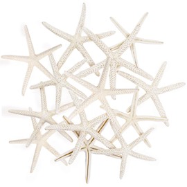 12 PCS Natural Starfish for Crafts 3.5''-4.7'' White Starfish Bulk Ornaments, for Wedding Beach Theme Party Home Starfish Decor & DIY Crafts