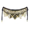 Women's Professional Zumba Belly Dance Belt Chiffon Hip Scarf Dance