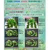 HaruDesign HASU38 Spec9 4K Warm Swirl Body Plant Grow LED
