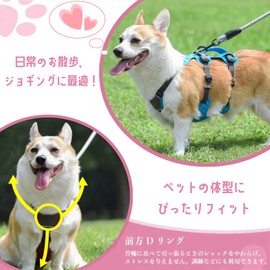 DICOCO Dog Harness, Night Backlight, Breathable, Cute, Medium Dogs, Pull Prevention, Large Dogs, Stroll Resistant, Adjustable, Stylish, Popular Torso, Rainbow XS