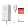 BSEED Allarme Acqua Smart, Nessun Hub Richiesto, Sensore Acqua Wi-Fi