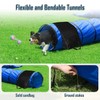 Dog Agility Course Backyard Set, Dog Agility Equipment, Portable Agility