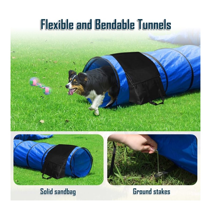 Dog Agility Course Backyard Set, Dog Agility Equipment, Portable Agility