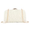 SUKUTU Feather Evening Bag for Women Shoulder Acrylic Box Bag