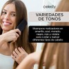 CELESTY Shampoo Matizador - Variedad Amarillo Azul Morado Negro Rojo