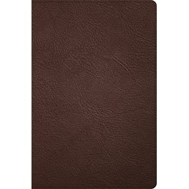 CSB Large Print Thinline Bible, Holman Handcrafted Collection, Brown Premium Goatskin, Black Letter, Presentation Page, Full-Color Maps, Easy-to-Read Bible Serif Type