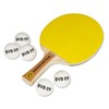 BVB Table Tennis Set