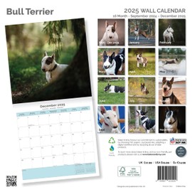 Baker and Bray Bull Terrier Calendar 2025, Large Square Wall Calendar with Organisational Stickers, 16 Month, Bull Terrier Gift Dog Calendar.