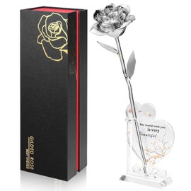 Anthonic Gold Dipped Infinity Rose Last Forever Flower Decor, Birthday Gift for Women in Her Birthday Valentines Day Mothers Day, Resin Preserved Rose | Anniversary Present for Mom (Silver)