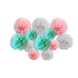 Pack of 12 Mixed 6"and 8" Tissue Paper Pompom Pom Pom Hanging Flower Balls Garland Wedding Party Decorations (Mint Pink Shade)