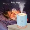 Portable Mini Cool Mist Humidifier, 500ml USB Personal Desktop Humidifier