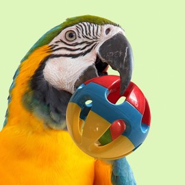SIMENA Parrot Ball Toy with Bell, Cage Hanging Accessories for Medium to Large Birds, Interactive Toys for Birds, Cat Ball Toy (Globe, Set of 1)