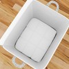 Closiq Large Capacity Storage Bag – Breathable Non-Woven Fabric, Closet