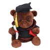 Little Bear Plush Doll with Gown Cap Diploma Bear Stuffed