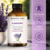 Lavender Essential Oil | 100% Pure and Natural | 4