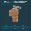 Cash Acme 3/4 Inch RV FWL-2 Pressure Relief Valve, Bronze,