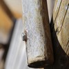 sourcing map 1/4-20x5/8" Hex Bolts 304 Stainless Steel Hexagon Screw