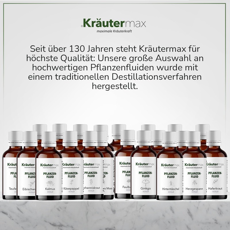 Kräutermax Ginkgo Drops 1 x 50 Biloba Extract Liquid