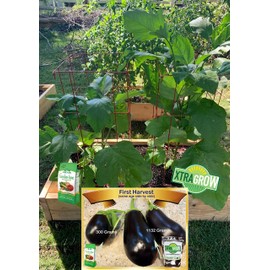 XtraGrow Plant Food