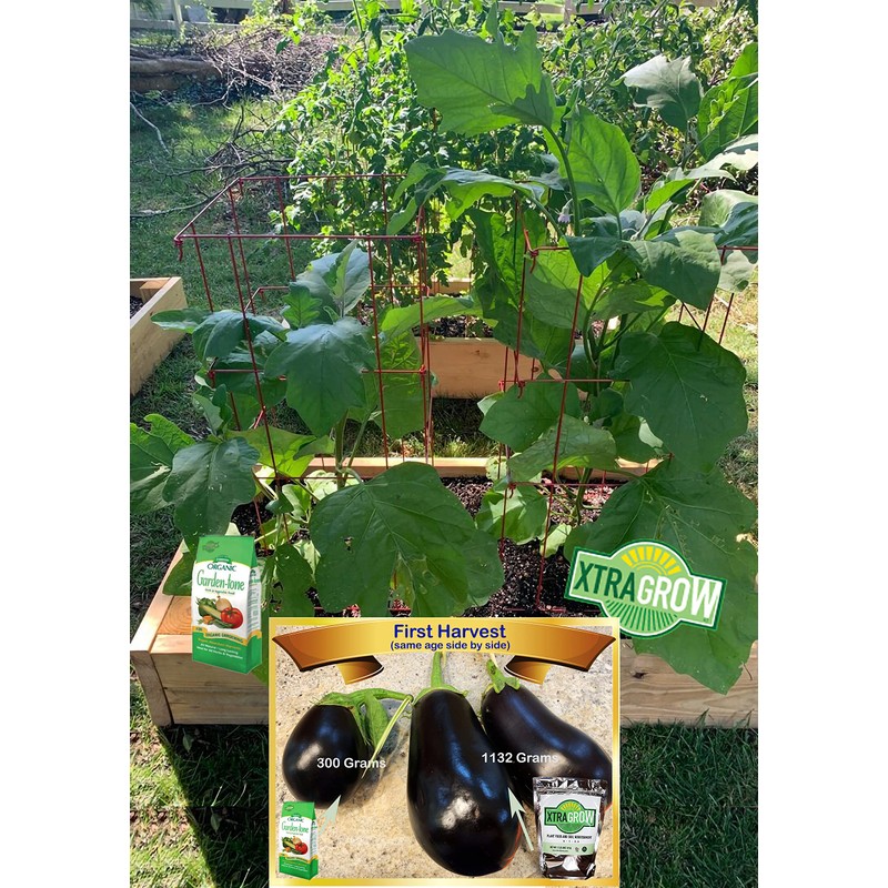 XtraGrow Plant Food