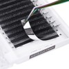 W Eyelash Extensions 5D Volume 0.07D Curl 12mm Easy Fan