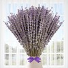 Dried Lavender Flowers Bundles, Natural Dry Lavender Flowers 220-240 Stems