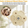 PINVNBY 2 PCS Natural Wooden Chinchilla Chew Toys Rotatable Chinchilla