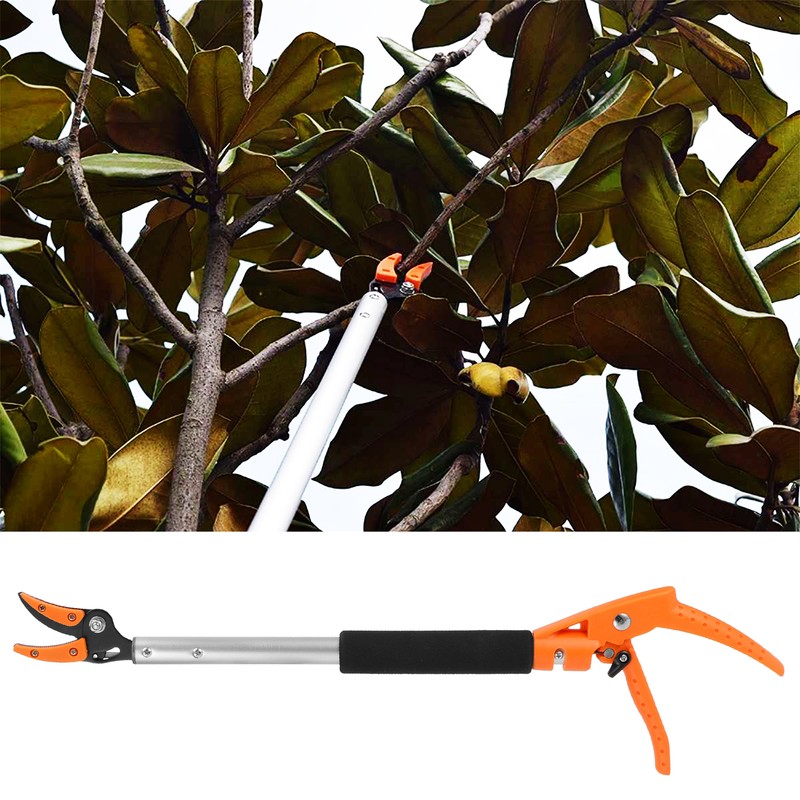 Fruit Picker Scissors Cutter for Grapes Peach Branch Pruning Shears