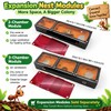 RIMSUNTA Terra Core Link - Expandable Ant Nest Formicarium with