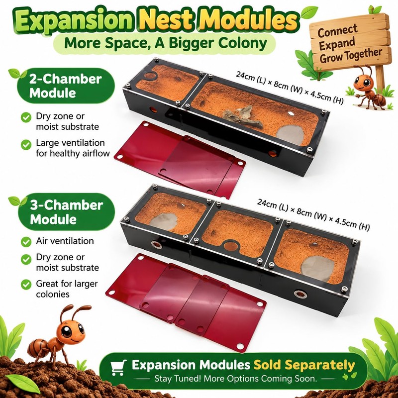 RIMSUNTA Terra Core Link - Expandable Ant Nest Formicarium with
