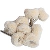 FPPO 1Inch Polishing Buffing Wheel Set,Wool Felt Cotton Mounted 3mm