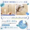 NANORISM Nano Bubble Shower Head