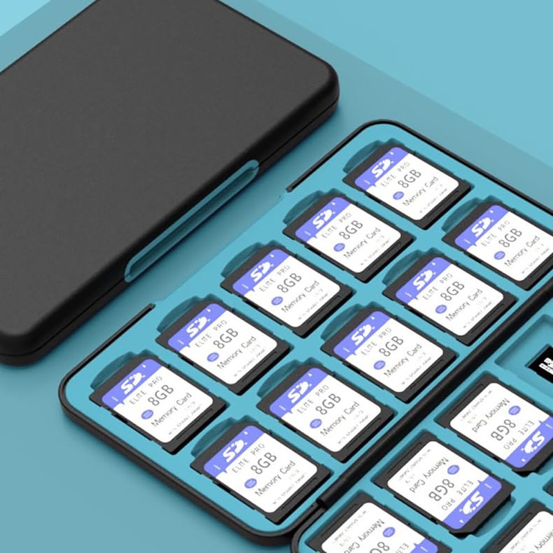 PGRTYOF SD Card Case, Holds 40 Cards (20 SD +