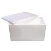 Salutem Vita - Styrofoam Cooler, Ice Chest (47qt)
