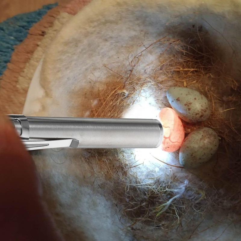 DOITOOL Portable LED Egg Candler, Egg Candling Lamp for Chicken,