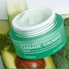 Cavie 캐비지 양배추 수분 진정 크림 45g 1개 Cavi Ji