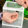 Hobby Nido Spawning Container