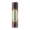 Hair Boteecra Botanical Air Color Foam EX Dark Brown 5.3