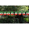Ckexin Mexico Flags Mexican Small String Pennant Banner Hanging Flags