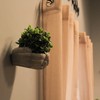 MayRich Company Cement Cupped Hands Wall-Mountable Planter & Birdfeeder –