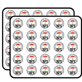 Cairo Egypt Flag Grunge Stamp Art Decor Sticker for Scrapbooking, Calendars, Arts, Kids DIY Crafts, Album, Bullet Journals 50 Pack