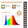 Bstrip Standing Grow Light for Indoor Plants, Vertical Grow Light