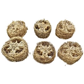 Bonka Bird Toys 3404 Pk6 Small Loofah 2" Diameter by 1.50" Thick Slices Medium Parrot Chew Foot Talon Cage Toy, Conure, Quaker, Ringneck, and Similar