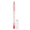 Pastel Show Long Lasting Lip Pencil 204