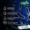 Nature's Life Prebióticos y Probióticos - Suplemento Alimenticio con Vitamina