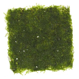 GANAZONO Aquarium Landscape Decoration Fire Moss Plant Ornament for Freshwater Fish Tanks Durable Aquatic Accessory for Fish Tank Landscape Enhances Pet Play and Hiding Spots