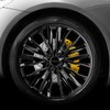 BITS4REASONS - NEW FORMULA E-TECH BRAKE CALIPER PROFESSIONAL GRADE PAINT