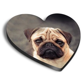 1 x Heart MDF Magnets - Cute Tan Pug Dog Puppies Pets Animals 8623