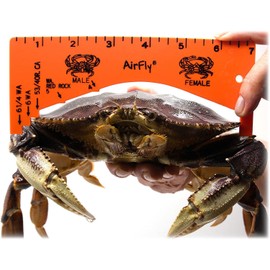 AirFly Crab Gauge - Measure for Dungeness, Rock Crab, Blue Crab, Lobster. Designed in San Francicso, USA (Orange + Green)